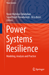 Power Systems Resilience - 