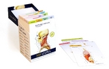 Anatomy Flashcards - Tillotson, Joanne