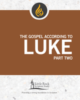 The Gospel According to Luke, Part Two - Michael  F. Patella