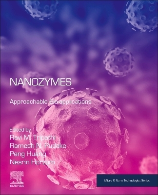 Nanozymes - 