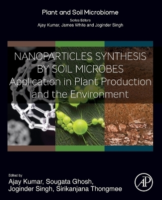 Nanoparticles Synthesis by Soil Microbes - 