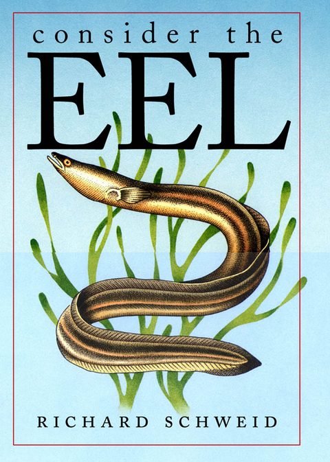 Consider the Eel -  Richard Schweid