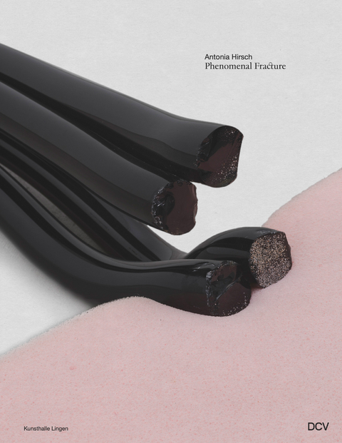 Antonia Hirsch – Phenomenal Fracture - Meike Behm