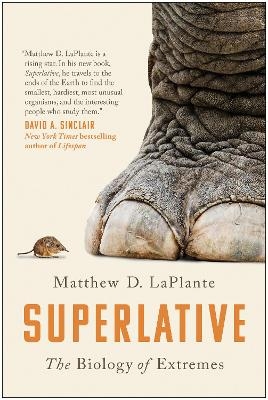 Superlative - Matthew D. LaPlante