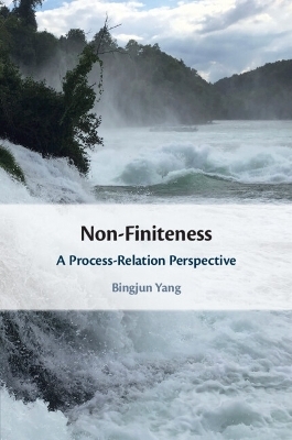 Non-Finiteness - Bingjun Yang