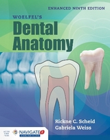 Woelfel's Dental Anatomy, Enhanced Edition - Scheid, Rickne C.; Weiss, Gabriela