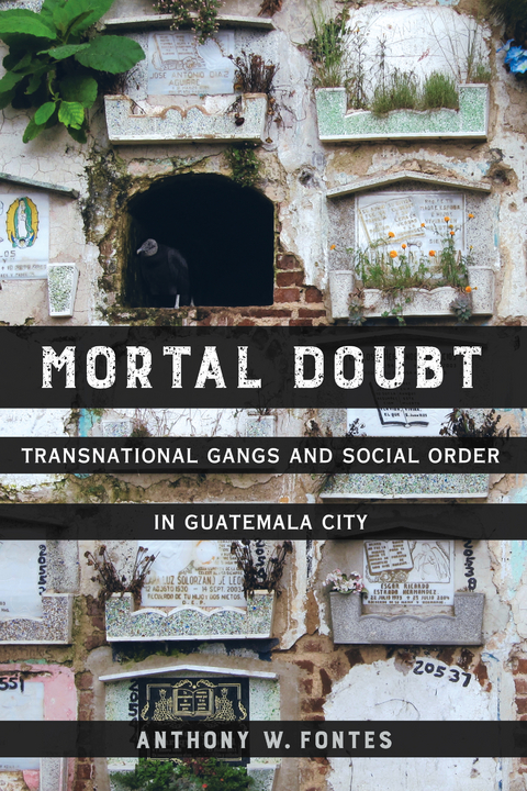 Mortal Doubt - Anthony W. Fontes