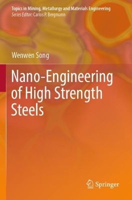 Nano-Engineering of High Strength Steels - WenWen Song