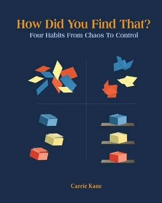 How Did You Find That ? - Carrie Kane