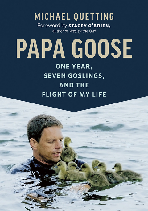 Papa Goose -  Michael Quetting