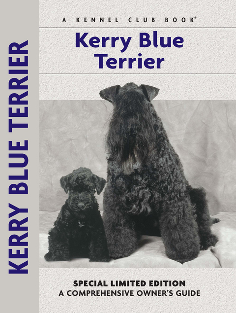 Kerry Blue Terrier - Bardi McLennan