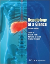 Hepatology at a Glance - Joshi, Deepak; Keane, Margaret; Nayagam, Jeremy