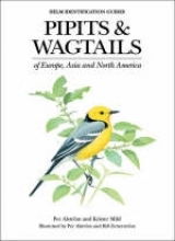 Pipits and Wagtails of Europe, Asia and North America - Alström, Per; Mild, Krister