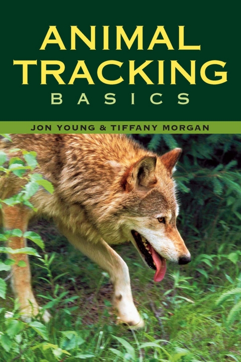 Animal Tracking Basics -  Tiffany Morgan,  Jon Young