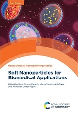 Soft Nanoparticles for Biomedical Applications - Miranda, María Tirado; de la Torre, Marta Vicario; Jódar Reyes, Ana Belén