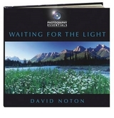 Photography Essentials: Waiting for the Light - Noton, David