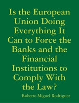 Is the European Union Doing Everything It Can to Force the Banks and the Financial Institutions to Comply With the Law? -  Rodriguez Roberto Miguel Rodriguez