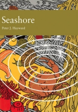 Seashore - Hayward, Peter