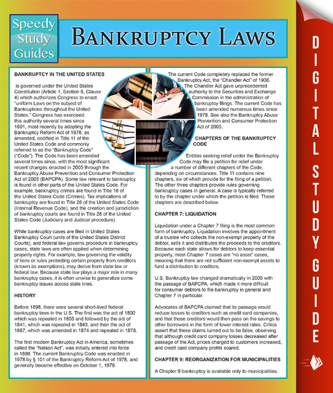 Bankruptcy Laws -  Speedy Publishing