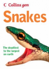 Snakes - Mattison, Chris