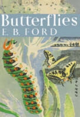 Butterflies - Ford, E. B.