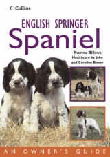 English Springer Spaniel - Billows, Yvonne