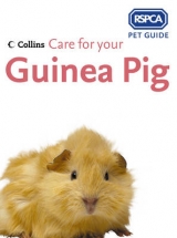 Care for your Guinea Pig - RSPCA