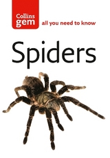 Spiders - Hillyard, Paul