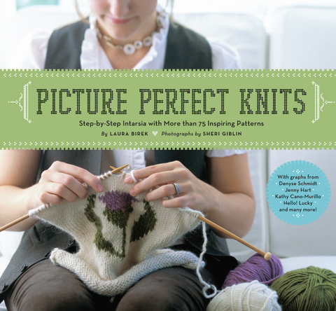 Picture Perfect Knits -  Laura Birek