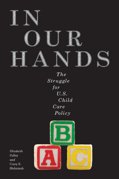 In Our Hands -  Elizabeth Palley,  Corey S. Shdaimah