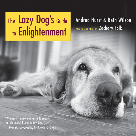 Lazy Dog's Guide to Enlightenment -  Beth Wilson