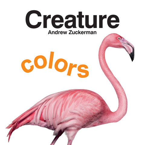 Creature Colors - 