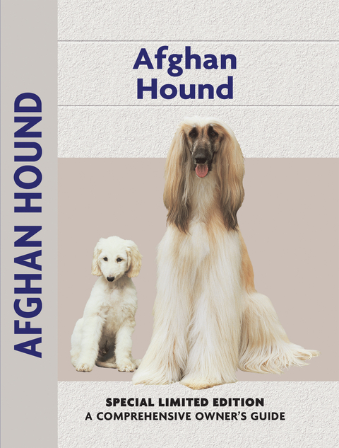 Afghan Hound - Bryony Harcourt-Brown