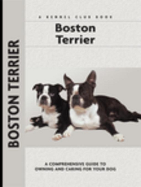 Boston Terrier - Alma Bettencourt