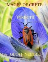 Images of Crete - Insects -  Needle Geoff Needle