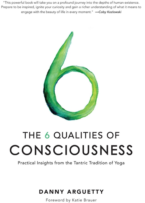 6 Qualities of Consciousness -  Danny Arguetty