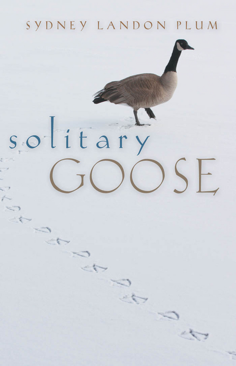 Solitary Goose - Sydney Landon Plum