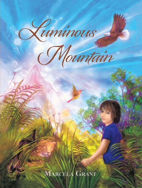 Luminous Mountain - Marcela Grant