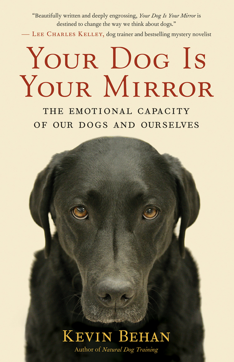 Your Dog Is Your Mirror - Kevin Behan