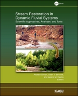 Stream Restoration in Dynamic Fluvial Systems - 