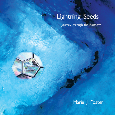 Lightning Seeds - Marie J. Foster