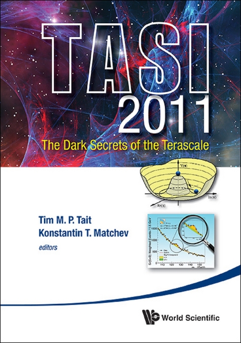 DARK SECRET TERASCALE, TASI 2011 - 