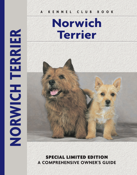 Norwich Terrier - Alice Kane