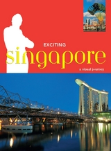 Exciting Singapore -  David Blocksidge