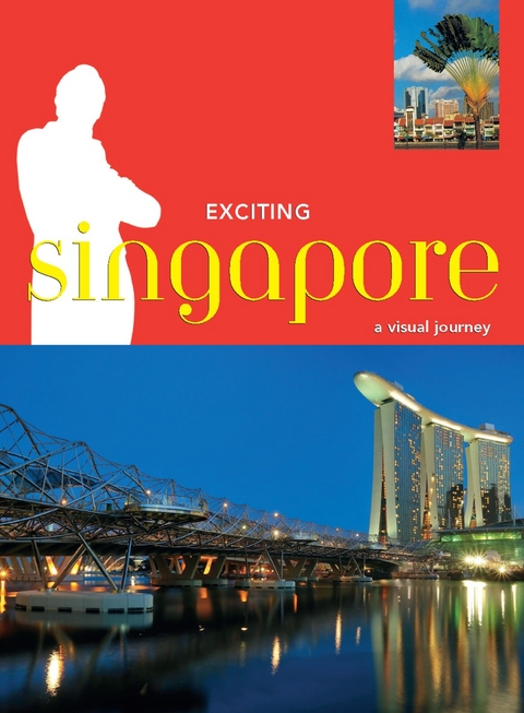 Exciting Singapore -  David Blocksidge