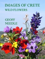 Images of Crete - Wild Flowers -  Needle Geoff Needle
