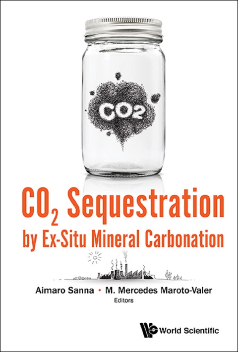 Co2 Sequestration By Ex-situ Mineral Carbonation - 