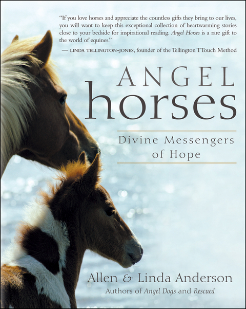 Angel Horses - Allen Anderson, Linda Anderson