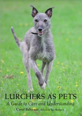 Lurchers as Pets - Carol Baby