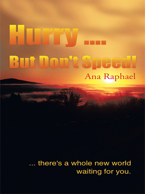 Hurry .... but Don't Speed! -  Ana Raphael